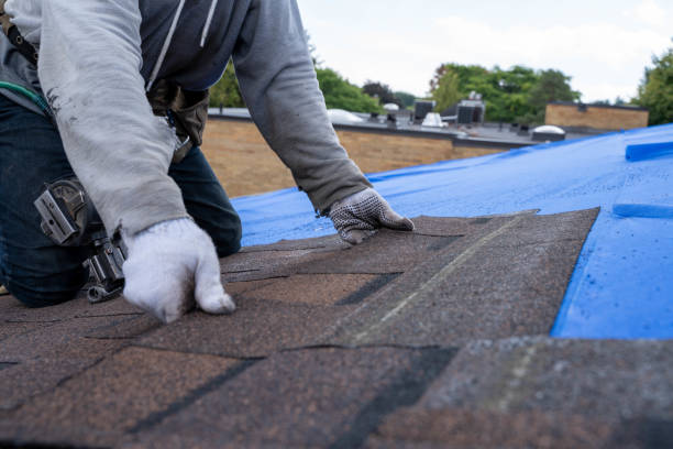 Best Roof Repair Specialists  in Crosby, MN
